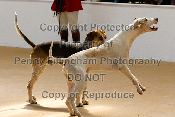 Festival_of_Hunting_Peterborough_16th_July_2014.072