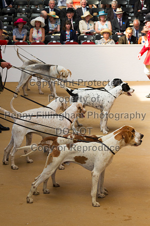 Festival_of_Hunting_Peterborough_16th_July_2014.041