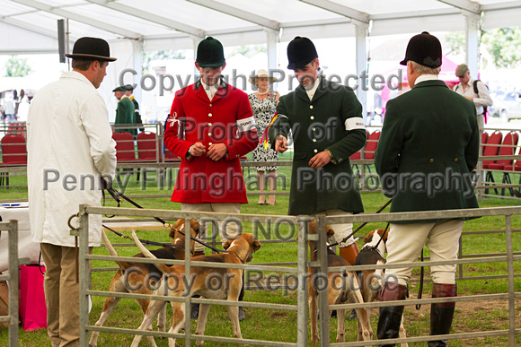 Festival_of_Hunting_Peterborough_16th_July_2014.014