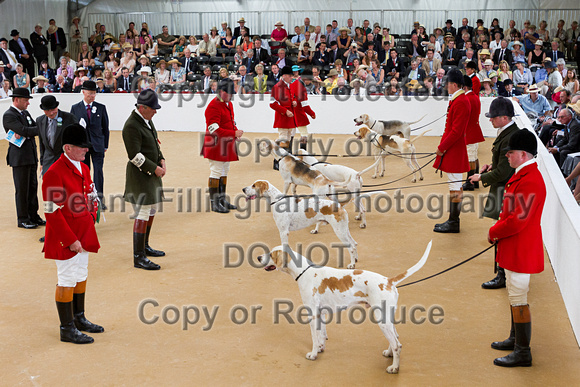 Festival_of_Hunting_Peterborough_16th_July_2014.146