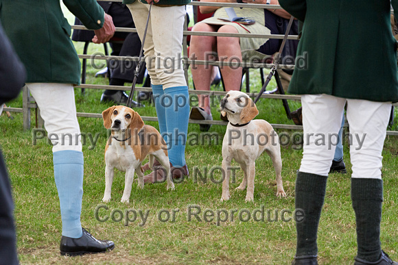 Festival_of_Hunting_Peterborough_16th_July_2014.226