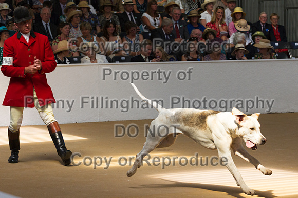 Festival_of_Hunting_Peterborough_16th_July_2014.029