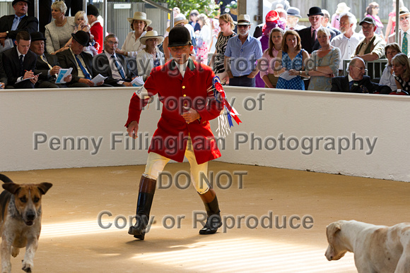 Festival_of_Hunting_Peterborough_16th_July_2014.070