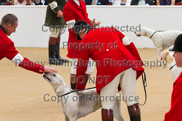 Festival_of_Hunting_Peterborough_16th_July_2014.232