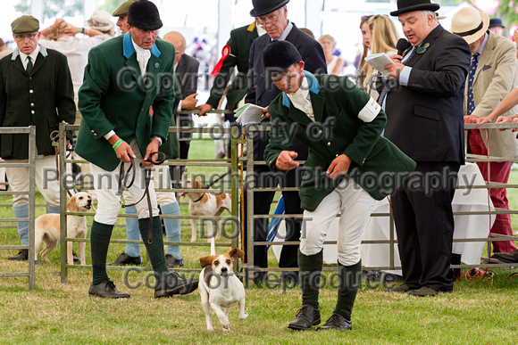 Festival_of_Hunting_Peterborough_16th_July_2014.216