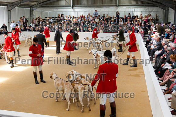 Festival_of_Hunting_Peterborough_16th_July_2014.101