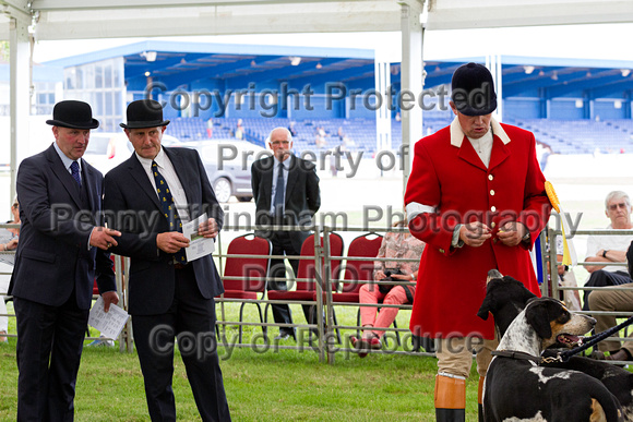 Festival_of_Hunting_Peterborough_16th_July_2014.162