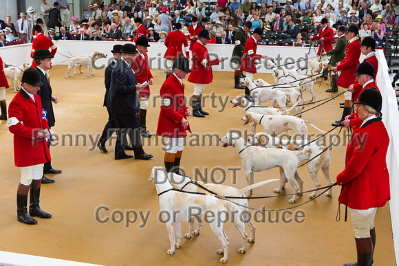 Festival_of_Hunting_Peterborough_16th_July_2014.200