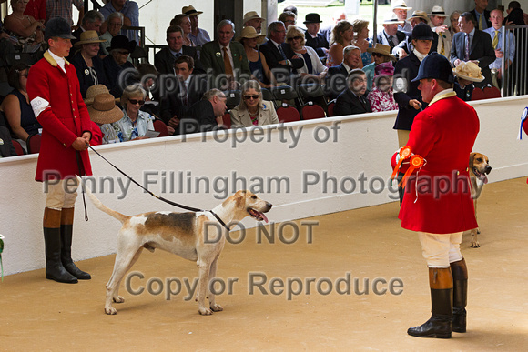 Festival_of_Hunting_Peterborough_16th_July_2014.125
