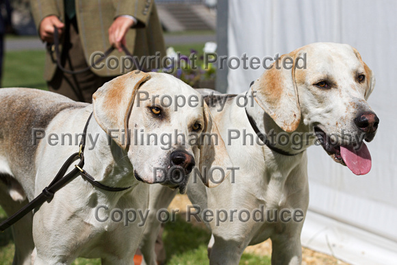 Festival_of_Hunting_Peterborough_16th_July_2014.020