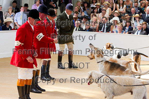Festival_of_Hunting_Peterborough_16th_July_2014.137