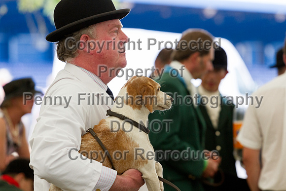Festival_of_Hunting_Peterborough_16th_July_2014.209