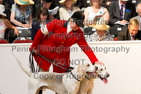 Festival_of_Hunting_Peterborough_16th_July_2014.059
