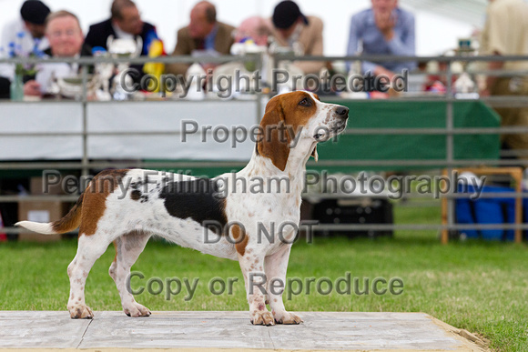 Festival_of_Hunting_Peterborough_16th_July_2014.177