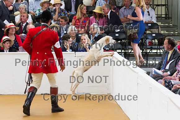 Festival_of_Hunting_Peterborough_16th_July_2014.196