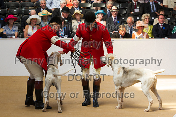 Festival_of_Hunting_Peterborough_16th_July_2014.052