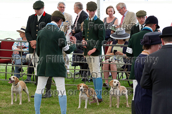 Festival_of_Hunting_Peterborough_16th_July_2014.225