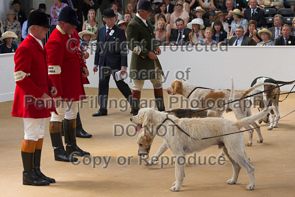 Festival_of_Hunting_Peterborough_16th_July_2014.134
