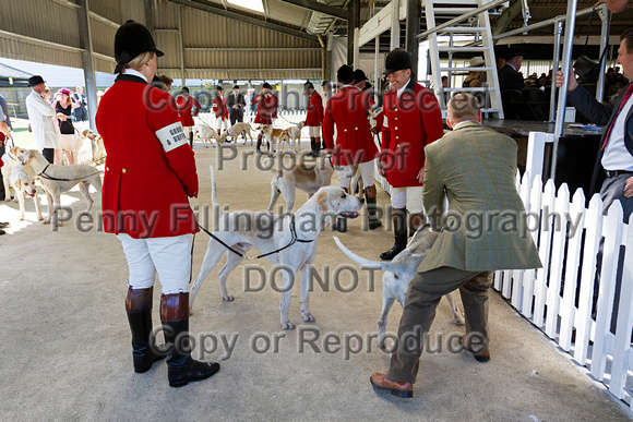 Festival_of_Hunting_Peterborough_16th_July_2014.021