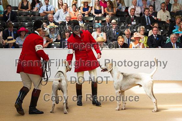 Festival_of_Hunting_Peterborough_16th_July_2014.051