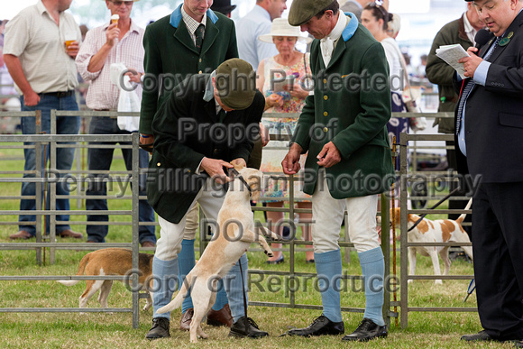 Festival_of_Hunting_Peterborough_16th_July_2014.213