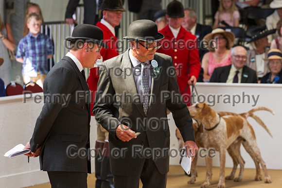 Festival_of_Hunting_Peterborough_16th_July_2014.083