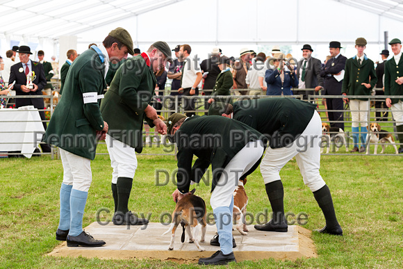 Festival_of_Hunting_Peterborough_16th_July_2014.066
