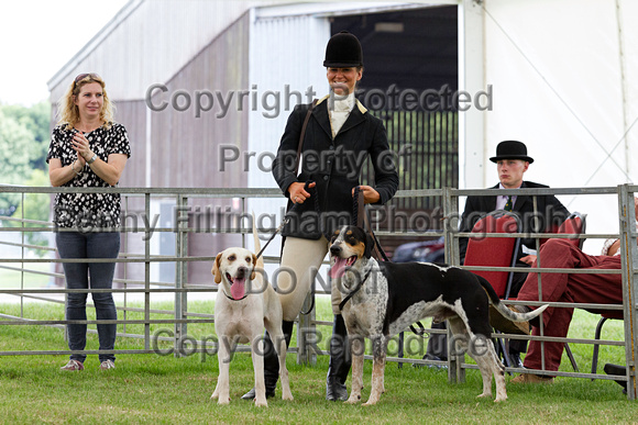Festival_of_Hunting_Peterborough_16th_July_2014.205