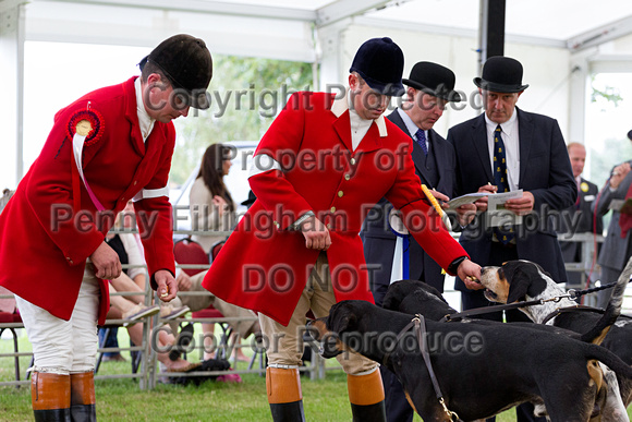 Festival_of_Hunting_Peterborough_16th_July_2014.168