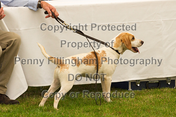 Festival_of_Hunting_Peterborough_16th_July_2014.015