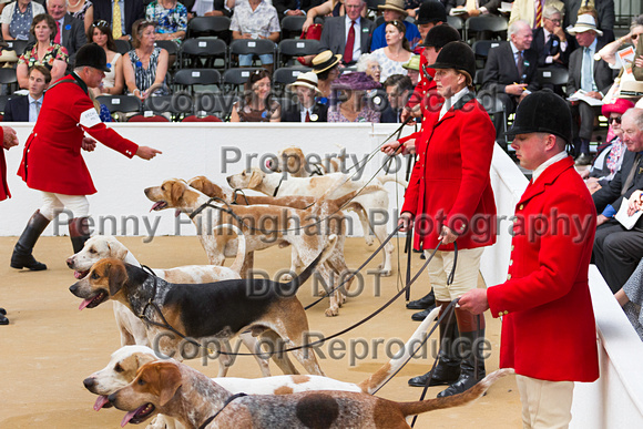 Festival_of_Hunting_Peterborough_16th_July_2014.076