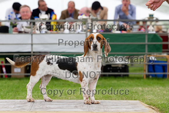 Festival_of_Hunting_Peterborough_16th_July_2014.176