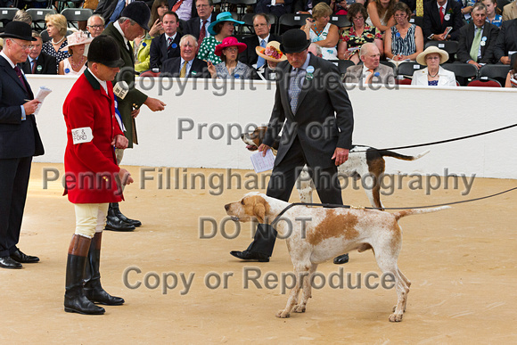 Festival_of_Hunting_Peterborough_16th_July_2014.128