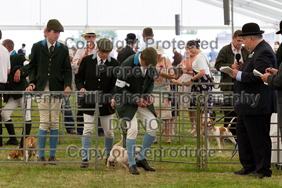 Festival_of_Hunting_Peterborough_16th_July_2014.212