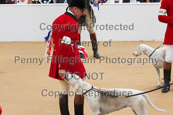 Festival_of_Hunting_Peterborough_16th_July_2014.234