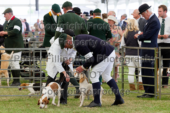 Festival_of_Hunting_Peterborough_16th_July_2014.221