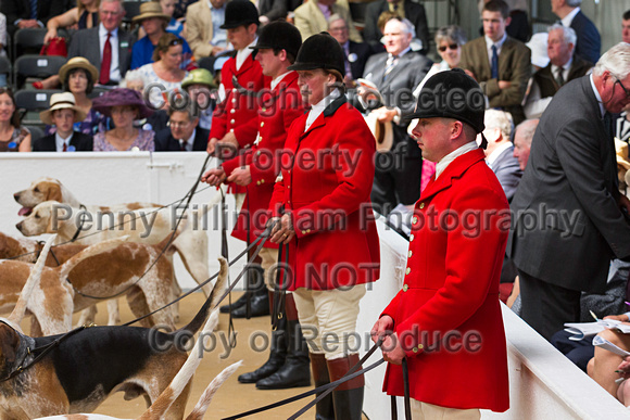 Festival_of_Hunting_Peterborough_16th_July_2014.077
