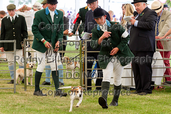Festival_of_Hunting_Peterborough_16th_July_2014.217
