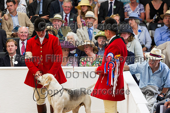 Festival_of_Hunting_Peterborough_16th_July_2014.148