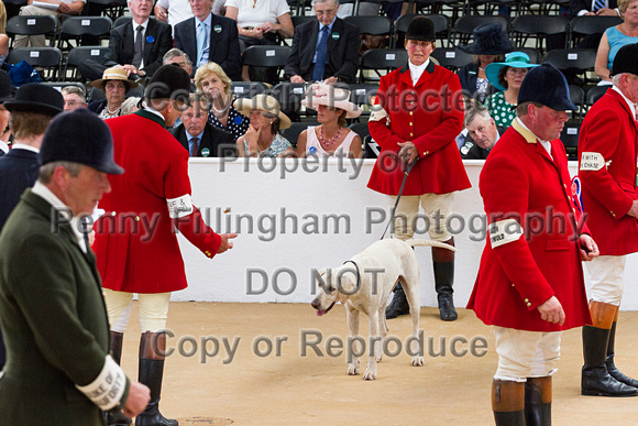 Festival_of_Hunting_Peterborough_16th_July_2014.240