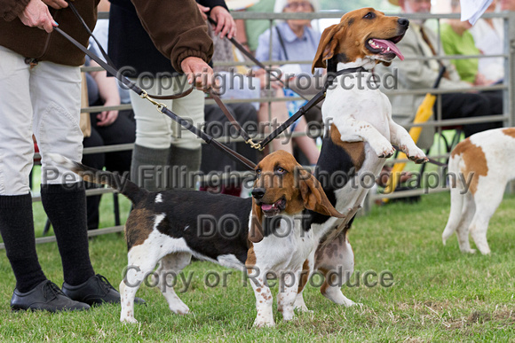 Festival_of_Hunting_Peterborough_16th_July_2014.179