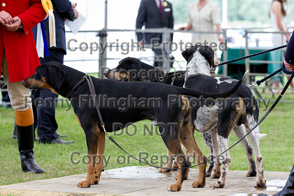 Festival_of_Hunting_Peterborough_16th_July_2014.169