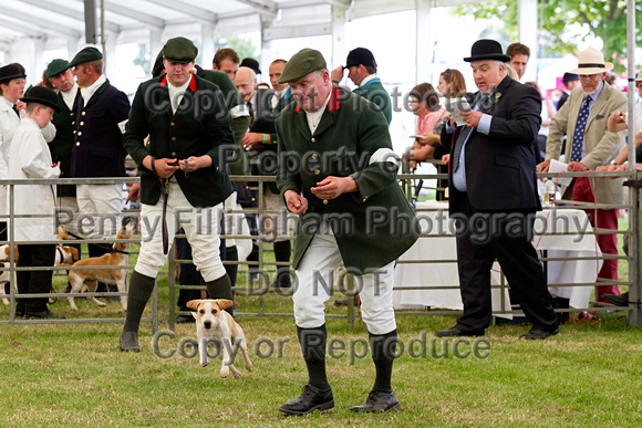 Festival_of_Hunting_Peterborough_16th_July_2014.218