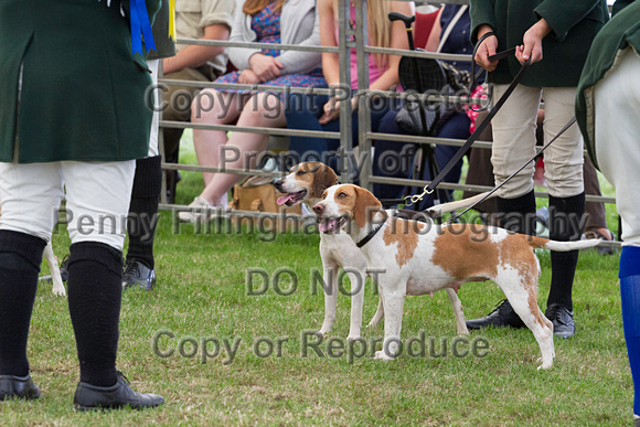 Festival_of_Hunting_Peterborough_16th_July_2014.208