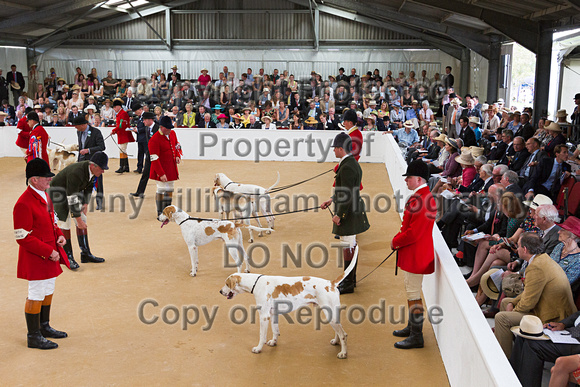 Festival_of_Hunting_Peterborough_16th_July_2014.144