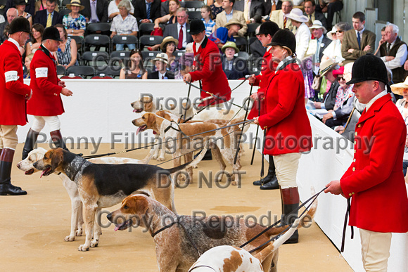 Festival_of_Hunting_Peterborough_16th_July_2014.079