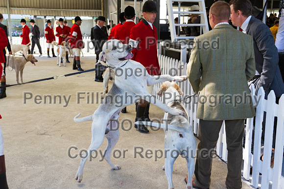 Festival_of_Hunting_Peterborough_16th_July_2014.022