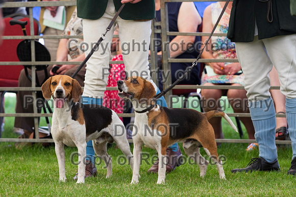 Festival_of_Hunting_Peterborough_16th_July_2014.063