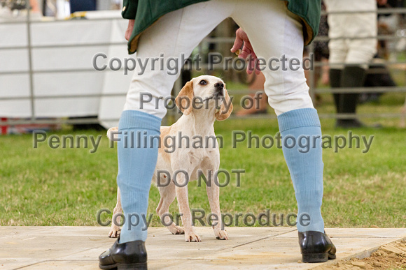 Festival_of_Hunting_Peterborough_16th_July_2014.214
