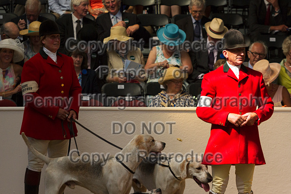 Festival_of_Hunting_Peterborough_16th_July_2014.060